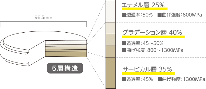 5段階の層による自然なグラデーションと高い強度
